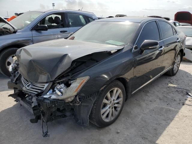 2010 Lexus ES 350