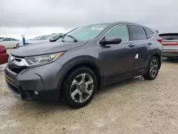 Salvage cars for sale at Arcadia, FL auction: 2019 Honda CR-V EXL