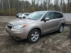 Salvage cars for sale at Cookstown, ON auction: 2015 Subaru Forester 2.5I Limited