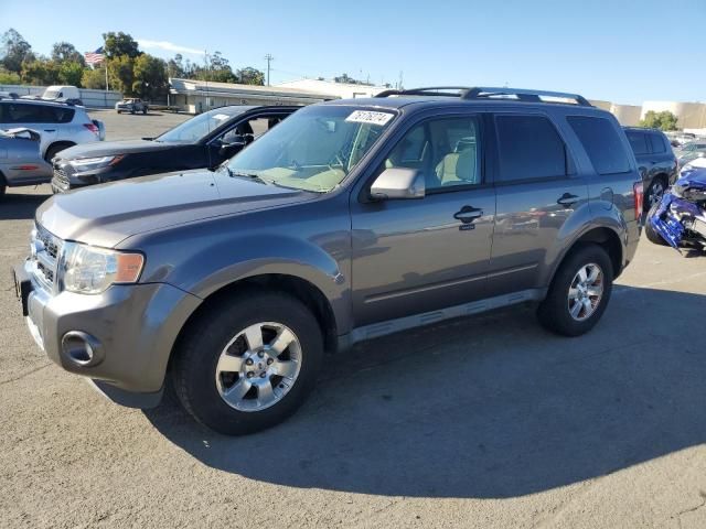 2011 Ford Escape Limited