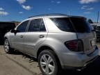 2006 Mercedes-Benz ML 500