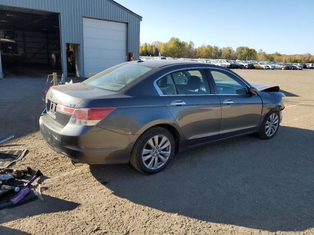 2011 Honda Accord EX