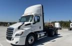 2019 Freightliner Cascadia 116