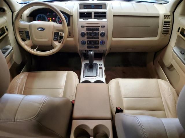 2009 Ford Escape XLT