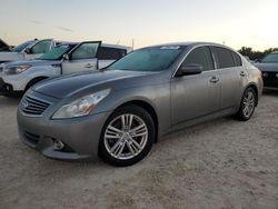 Salvage cars for sale at Arcadia, FL auction: 2011 Infiniti G37 Base