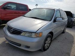 Salvage cars for sale from Copart Arcadia, FL: 2003 Honda Odyssey EXL