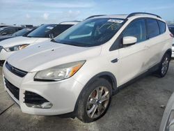 Salvage cars for sale at Riverview, FL auction: 2014 Ford Escape SE