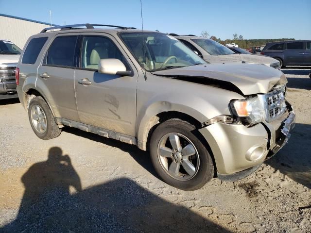 2012 Ford Escape Limited