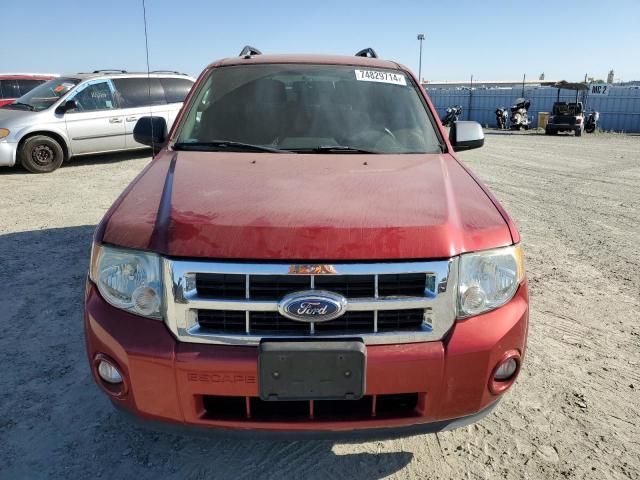 2012 Ford Escape XLT