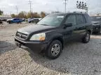 2005 Honda Pilot EXL