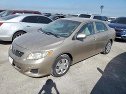 Toyota Corolla salvage cars for sale: 2009 Toyota Corolla Base