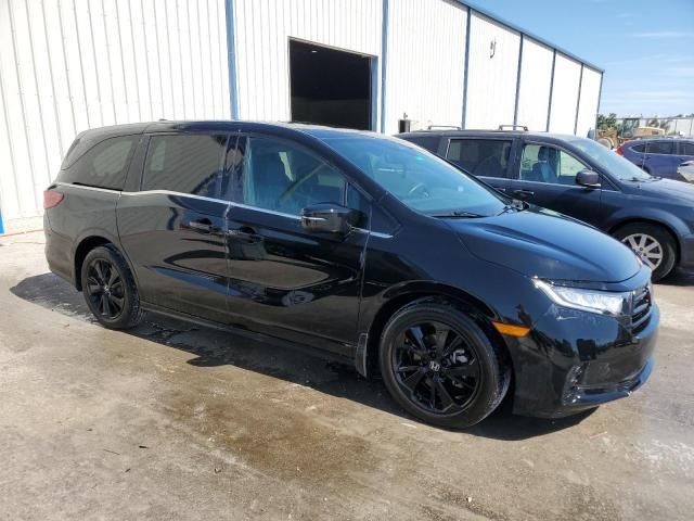 2023 Honda Odyssey SPORT-L