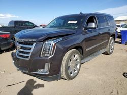 2016 Cadillac Escalade Luxury en venta en Brighton, CO