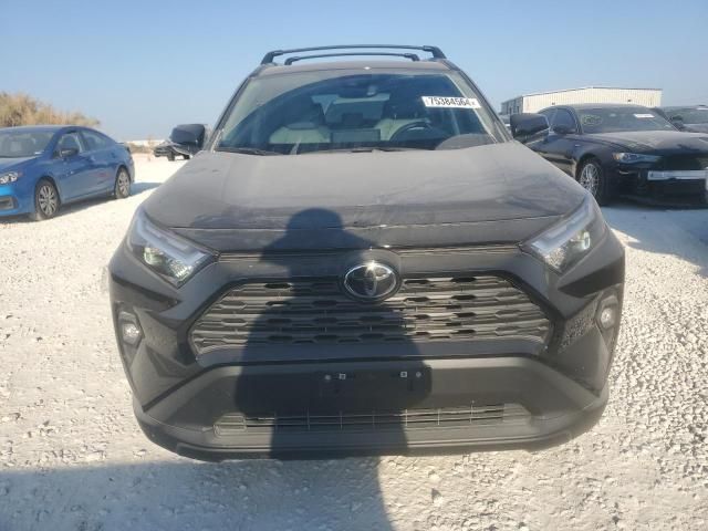 2023 Toyota Rav4 XLE Premium