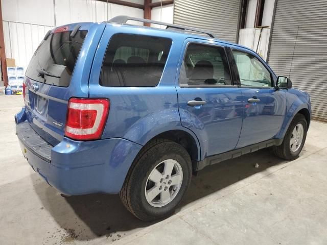 2009 Ford Escape XLT