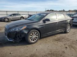 Hyundai salvage cars for sale: 2019 Hyundai Sonata SE