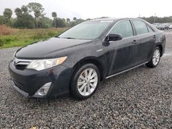 Carros híbridos a la venta en subasta: 2012 Toyota Camry Hybrid