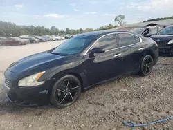 Nissan salvage cars for sale: 2010 Nissan Maxima S