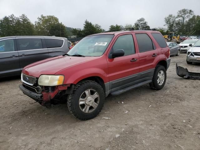 2003 Ford Escape XLT