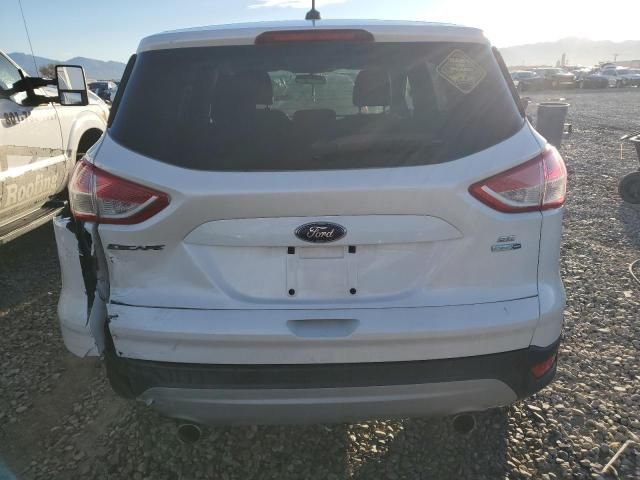 2013 Ford Escape SE