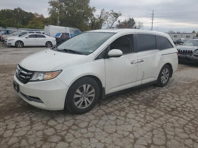 2014 Honda Odyssey EXL