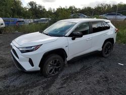 Salvage cars for sale at auction: 2024 Toyota Rav4 LE