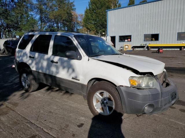 2006 Ford Escape HEV