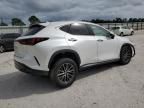 2024 Lexus NX 250 Premium