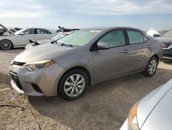 Salvage cars for sale from Copart Arcadia, FL: 2014 Toyota Corolla L