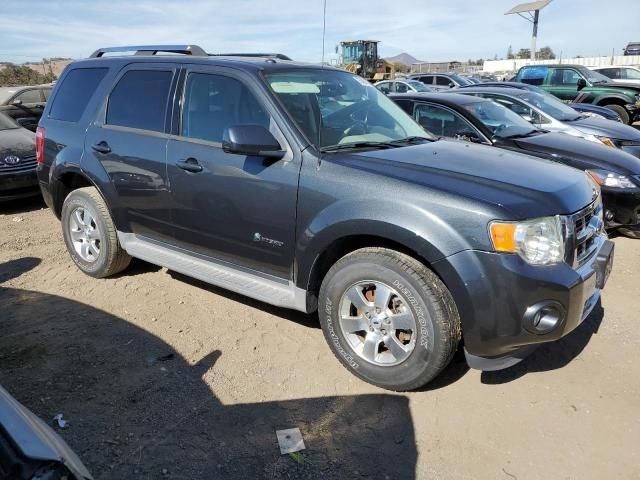 2009 Ford Escape Hybrid