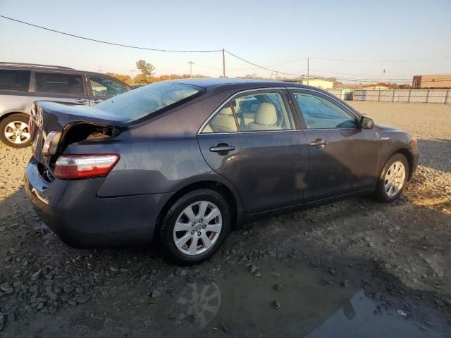 2009 Toyota Camry Hybrid