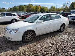 Toyota salvage cars for sale: 2007 Toyota Avalon XL