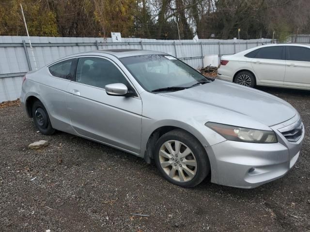 2009 Honda Accord EXL