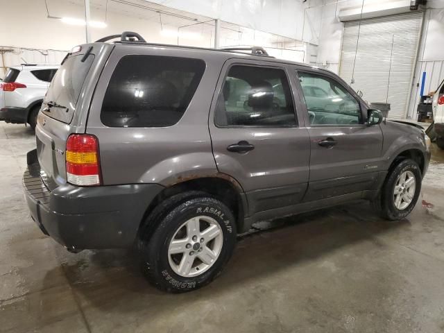 2005 Ford Escape HEV