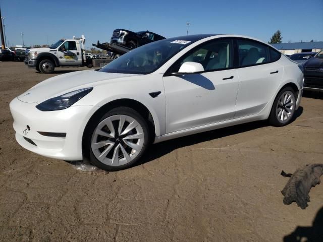 2023 Tesla Model 3