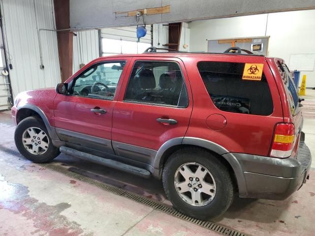 2005 Ford Escape XLT