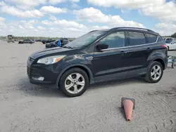 Salvage cars for sale at Houston, TX auction: 2014 Ford Escape SE