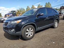 KIA salvage cars for sale: 2013 KIA Sorento LX