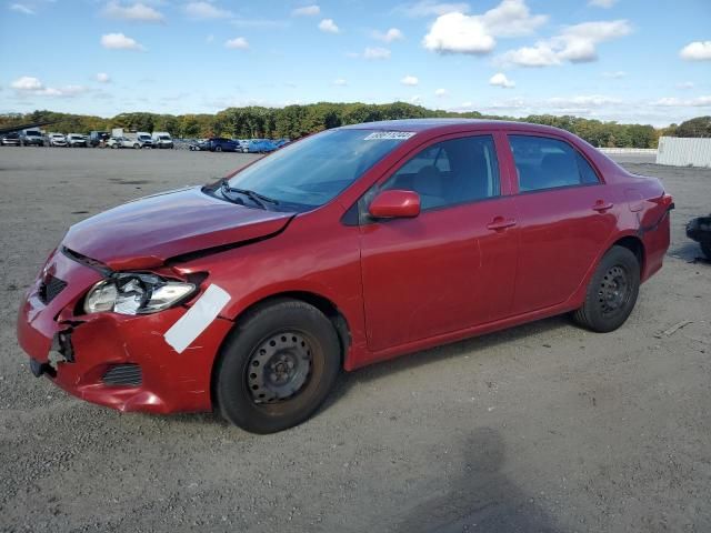 2009 Toyota Corolla Base