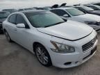 2010 Nissan Maxima S