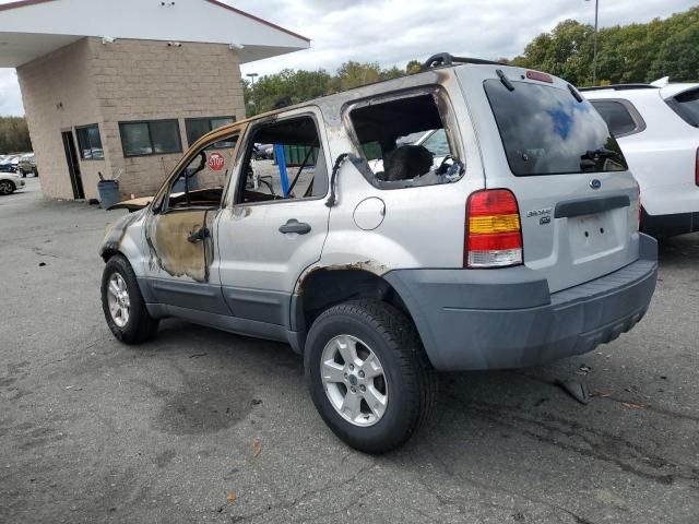 2007 Ford Escape XLT