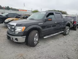 Ford salvage cars for sale: 2013 Ford F150 Supercrew