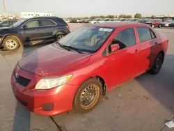 Salvage cars for sale at Grand Prairie, TX auction: 2010 Toyota Corolla Base