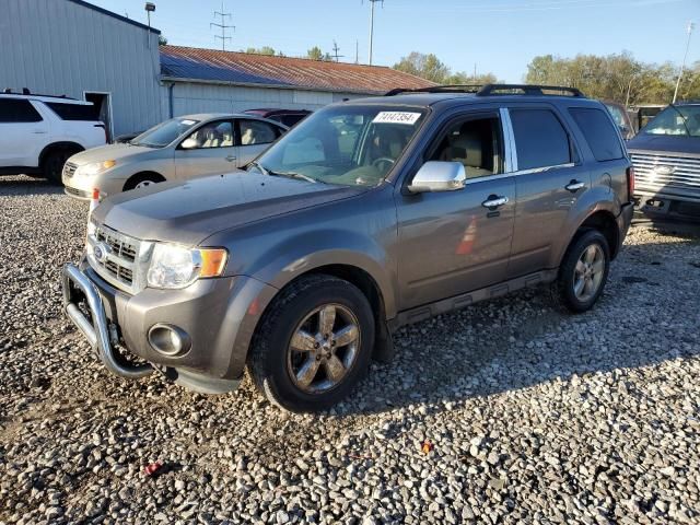 2010 Ford Escape XLT