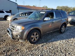 Salvage cars for sale at Columbus, OH auction: 2010 Ford Escape XLT