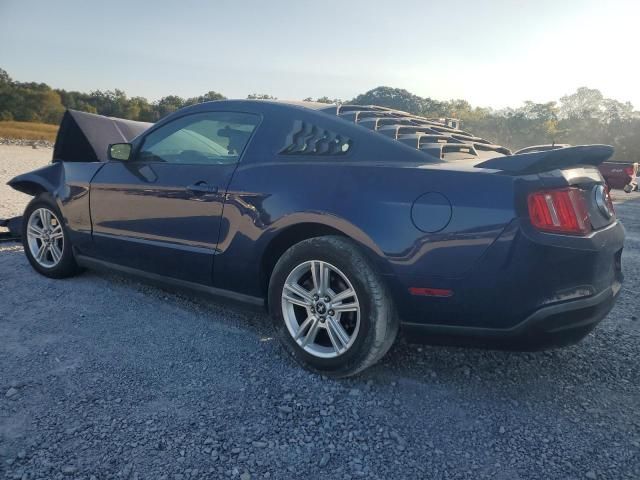 2010 Ford Mustang