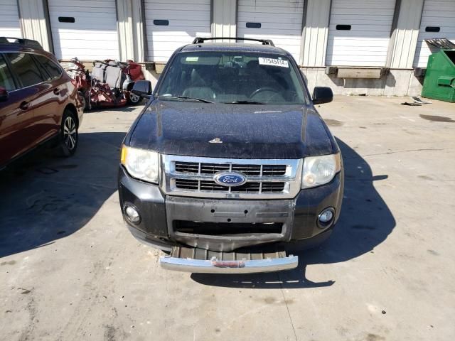 2011 Ford Escape Limited