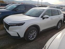 Salvage cars for sale at Helena, MT auction: 2024 Honda CR-V EXL