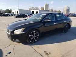 Nissan salvage cars for sale: 2013 Nissan Maxima S