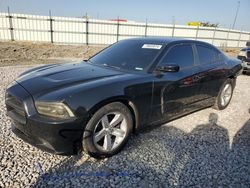 Salvage cars for sale at Cahokia Heights, IL auction: 2013 Dodge Charger SE